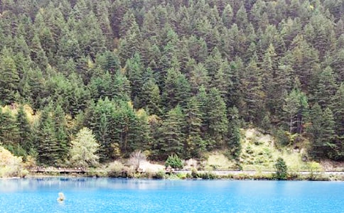 ��կ�����δ�(�ر�)