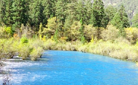 ����կ�����̰�(��ѡ15ƪ)