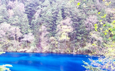 ��կ�����δ����㷶��