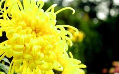 ���ջ��̰�