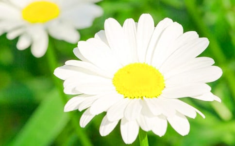 �̰����ջ�������˼