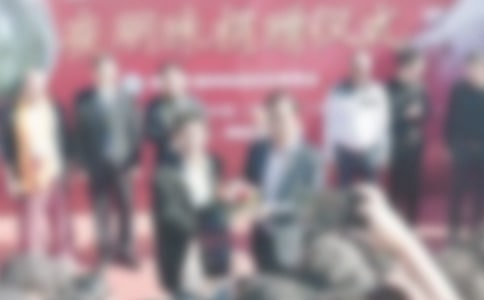 �������ʽ��л��