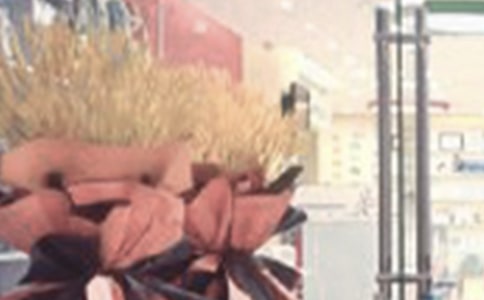 ��ҵ��л��15ƪ