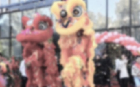 �Ƶ꿪ҵ����ܾ����´�