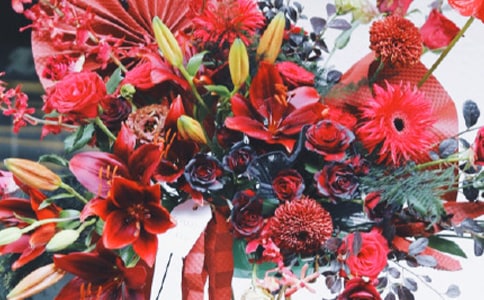 ���Ŵ󼪵�ף����(�Ƽ�)