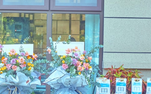 �µ꿪�Ų߻����������