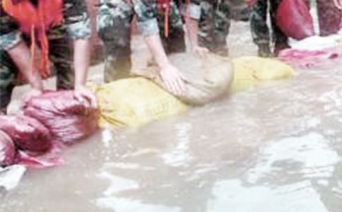 ������ָ�л��