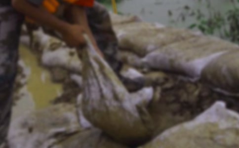 ������ֳ�����