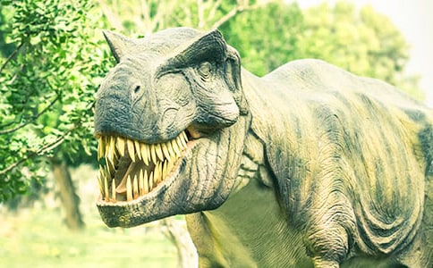 ��ʲô�ǿ���ϲ���Եġ����̰�