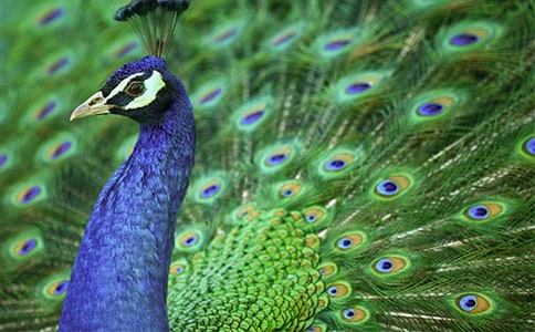 ���ر�������ȸ���Ϸɡ��̰���ƪ