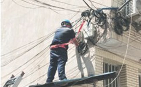 �������鱨��