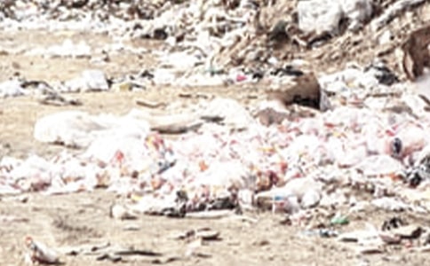 ��������������15ƪ