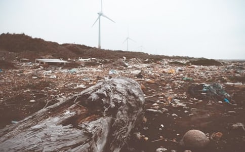 分类垃圾的教案