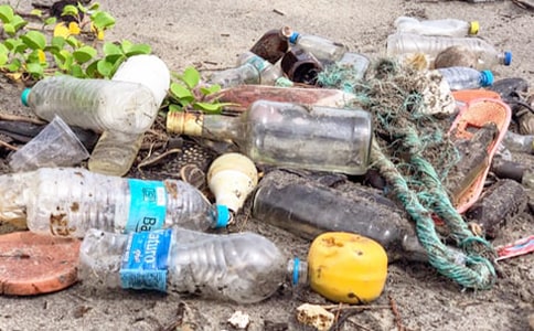 ��Ҫ�������������飨ͨ��7ƪ��