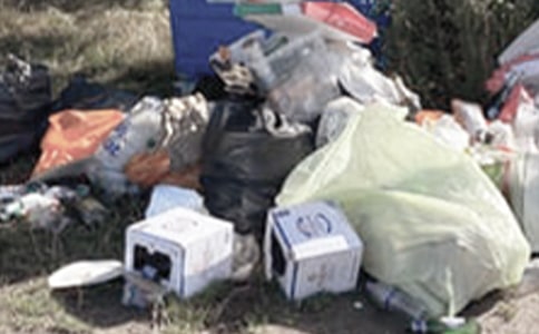 《不乱扔垃圾》小班教案范文(通用6篇)