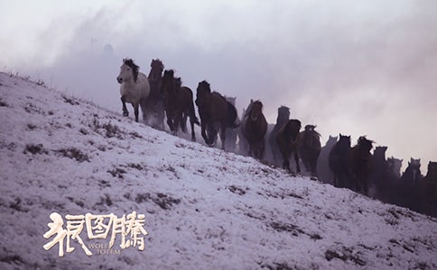 (��)����ͼ�ڡ�����ʼ�