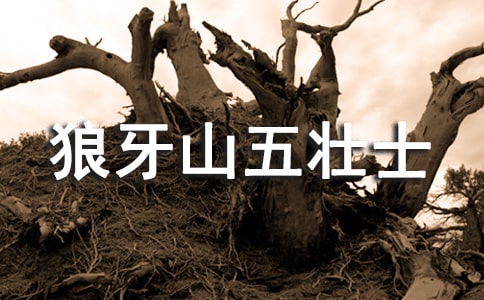 《狼牙山五壮士》教案