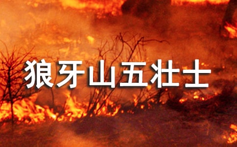 ������ɽ��׳ʿ�������(����15ƪ)