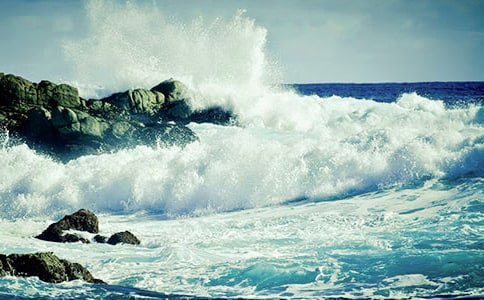 ���˻����̰�