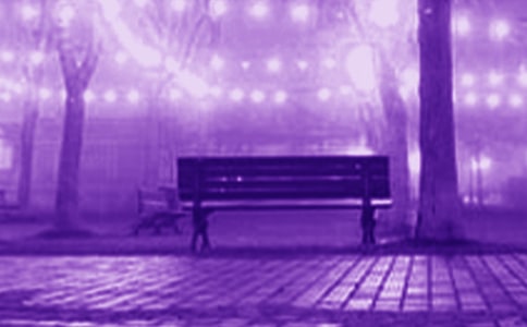 ��������Ψ�����Ծ��ӣ���ѡ80�䣩