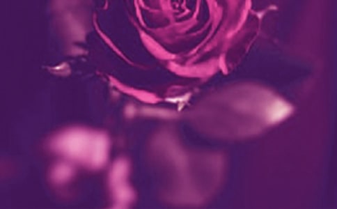 �����������Ը��Ծ��Ӵ�ȫ60��