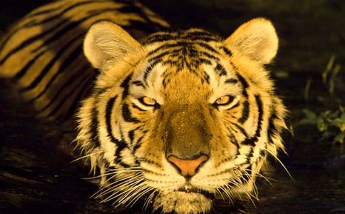 ��û�����ݵĴ��ϻ���˵�θ�