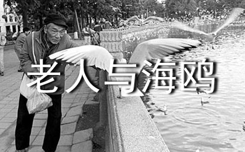 �������뺣Ÿ������˵�θ巶��