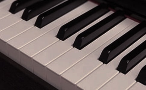 �����ҹ����ƶ�5ƪ