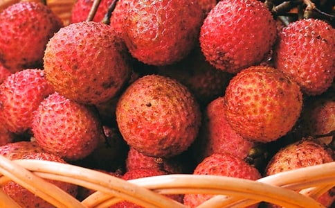 ����֦ͼ�򡷽̰�7ƪ