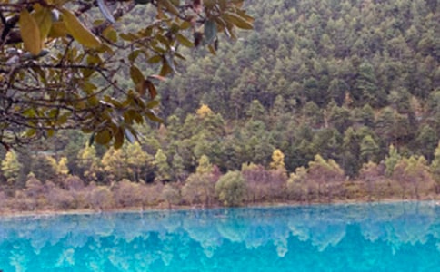 �й������ųǵĵ��δ�