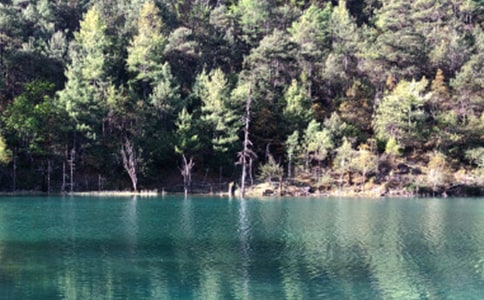 ���������ųǵĵ��δ�15ƪ