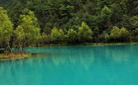 �������δʷ���400�֣���ѡ17ƪ��