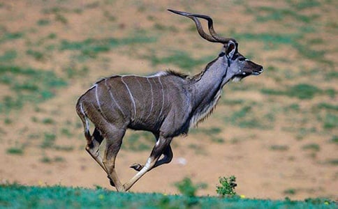 ������ľ�񡷽�ѧ��˼(ͨ��15ƪ)