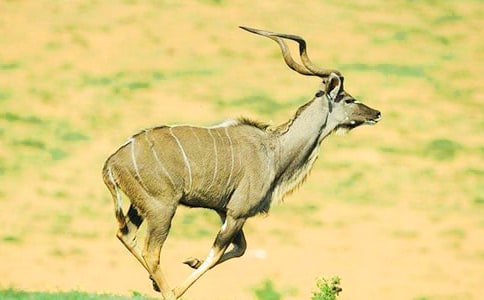 ��������Ĺ�ݡ������6ƪ