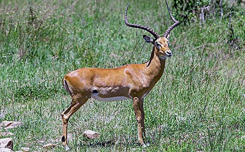 ������ľ�񡷶����11ƪ