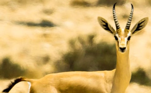 ����ľ���ѧ��˼(���15ƪ)