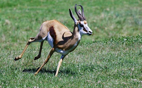 ������ľ�񡷽�ѧ��˼15ƪ