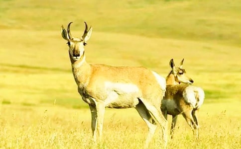 ������Ĺ�ݶ����14ƪ