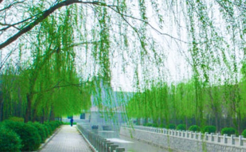 ��С������С����������̰��ϼ���ƪ