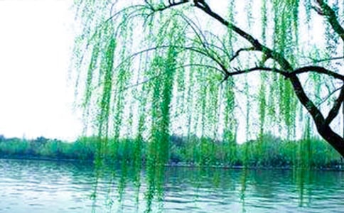 ��ࡶ��������̰�(15ƪ)