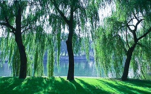 ��������������̰�