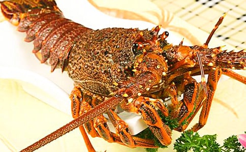 ��Ϻ�Ĺ���160��