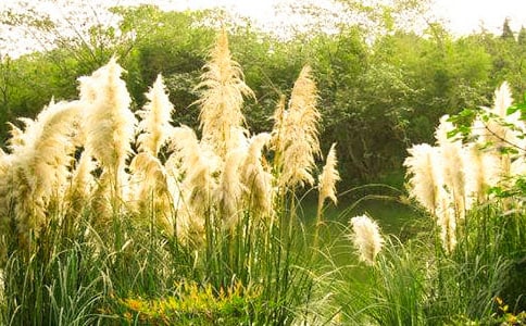 Ҫѧ�ᱣ��ʵ����«έ������Ĺ��´�ҵ����