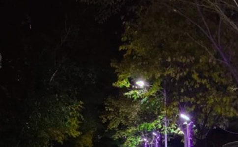 ·�Ƴа���ͬ