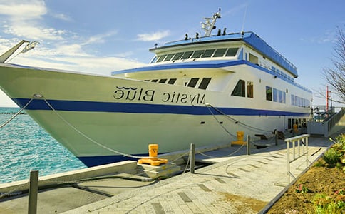 ��ͷ�����ƶȷ�������������