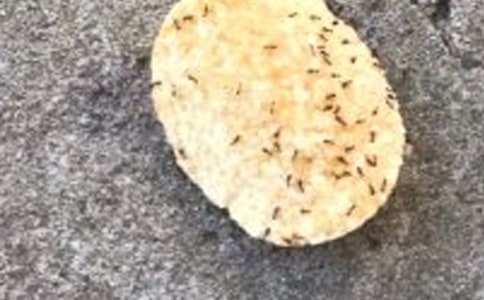 ���ϰᶹ�Ľ̰�(15ƪ)