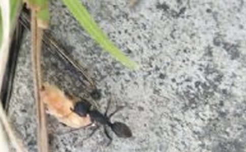 �а����Ի�����Ϸ�����