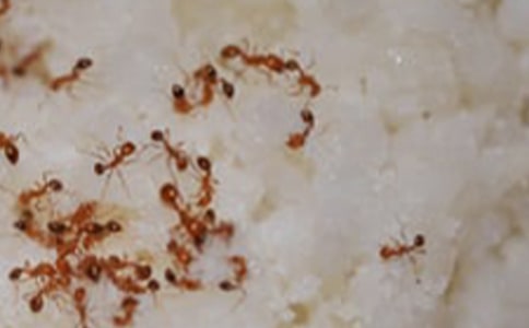 ���ϵ����ҽ���