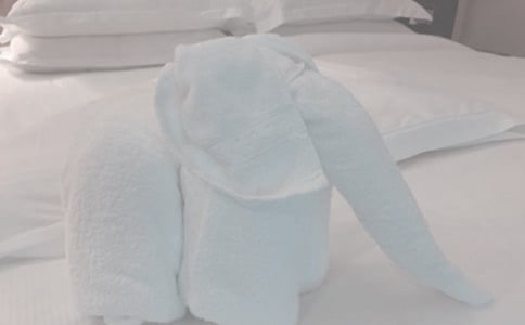 С���һ��ë���̰�