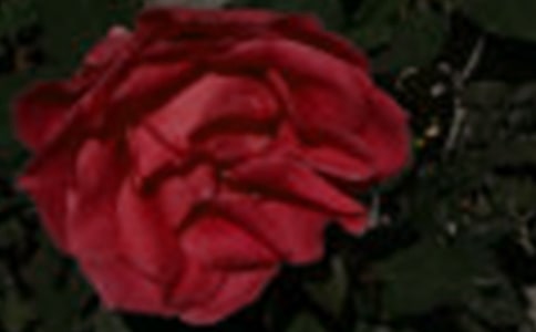 ��õ�����õ������12ƪ